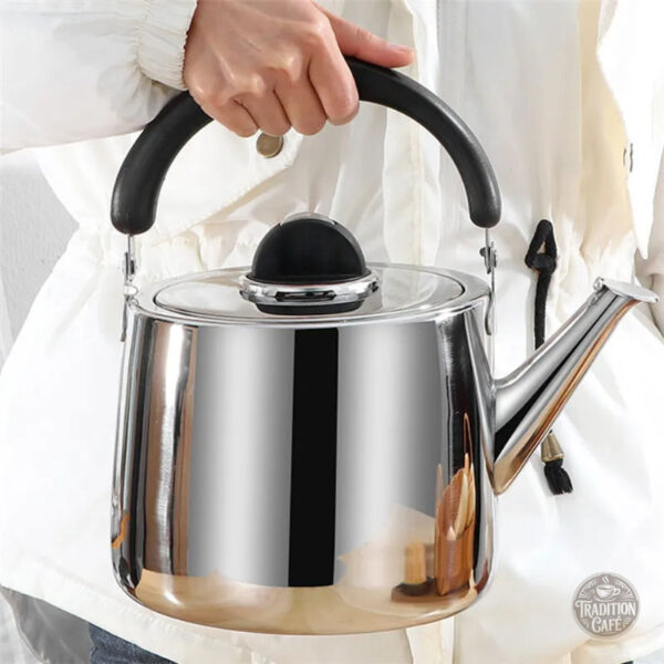 Accessoire cuisine : bouilloire inox pour induction