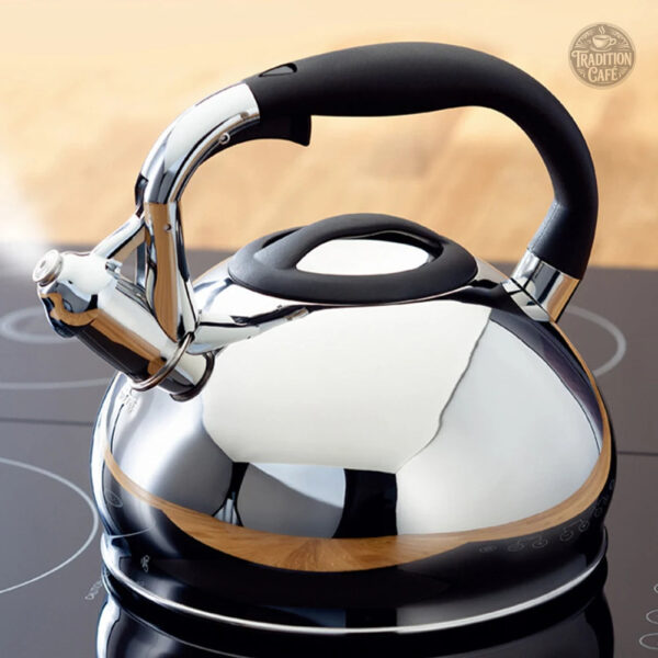 bouilloire-induction-acier-inoxydable-poignee-nylon-1 Bouilloire à induction sifflante avec poignée ergonomique