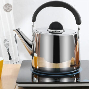 Bouilloire en inox argentée pour un usage quotidien