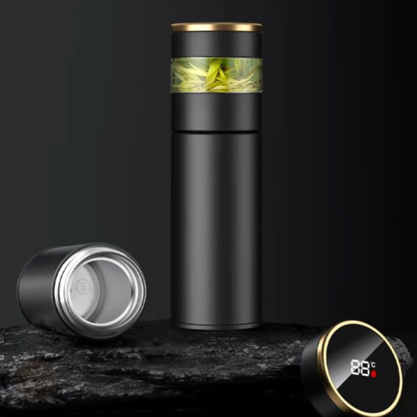 Accessoire de boisson : bouteille infuseur en inox